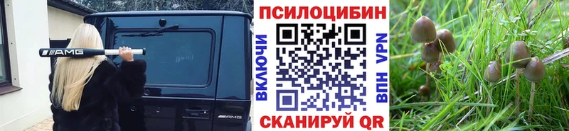 shop формула  Серов  Псилоцибиновые грибы мухоморы 